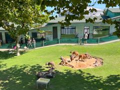 -西霞口神雕山野生动物世界