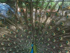 -意大利农场度假村