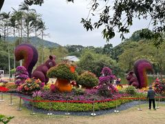 -广州市白云山风景名胜区