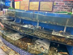 -蟹谢蒸鲜自助餐厅
