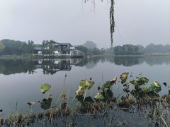 -阳澄湖半岛旅游度假区