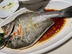 清蒸海鲈鱼-觅唐MITONG(鸟巢店)