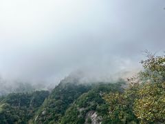 -朱雀国家森林公园