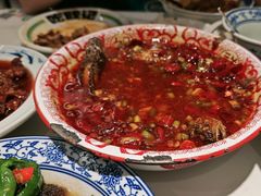 -欧记大排档·景德菜(上海首店)