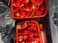 -胜丰草莓采摘园