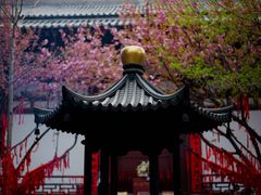 -西安青龙寺遗址景区