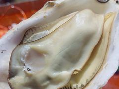 -王钵宴遇王龙虾烧烤旗舰店(中山北路店)