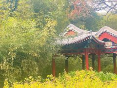 -香山公园