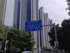 -奈雪的茶(南山大冲一期店)