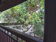 -溪口-滕头旅游景区