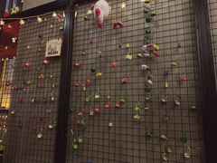 -首尔大排档