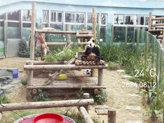 -大连森林动物园