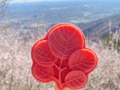 -香山公园