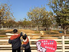 -盈香心动乐园