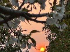 -海事大学图书馆(临港校区)