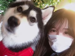 -Husky Go! 哈士奇体验馆·宠物咖啡厅狗咖