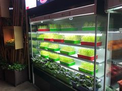 -番食园鲜食火锅(高新店)