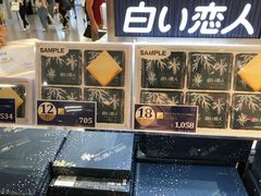 -关西国际机场直营免税店