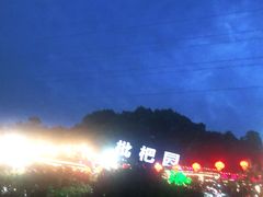 -枇杷园食为鲜火锅(南山店)