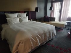 -南京禄口机场雅高铂尔曼大酒店