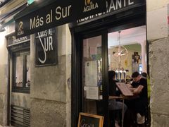 -Mas Al Sur