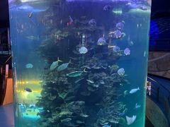 -蓬莱欧乐堡海洋极地世界