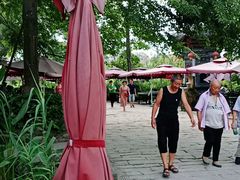 -三道苗苗鱼(三道堰老字号店)