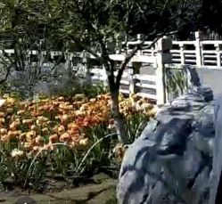-玄武湖景区-情侣园游乐场