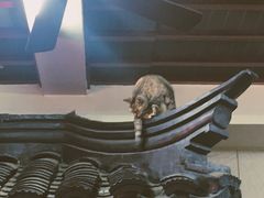 -协和菜馆(凤凰街店)