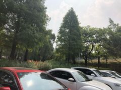 -中旅阿那亚九龙湖·公主酒店