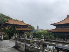 -天下玉苑