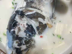 -全乐鱼馆·淳牌有机鱼直营店