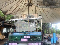 -荔城生鲜盛宴(番禺旗舰店)