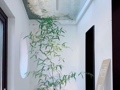 -古耳咖啡(北锣店)