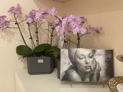 -S&G Beauty轻奢皮肤管理中心