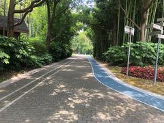 -苏州河梦清园环保主题公园