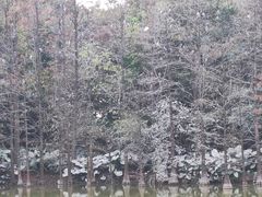 -顺峰山公园