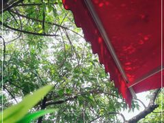 -Santoor 萨都里印度餐厅(北锣鼓巷店)