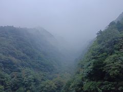 -朝阳沟