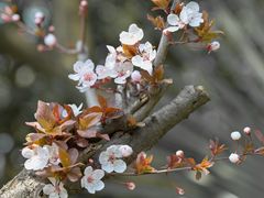 -幕燕滨江·燕子矶公园