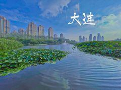 -前关湿地公园