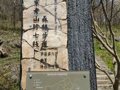 -南京老山国家森林公园