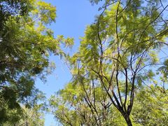 -华南师范大学(广州大学城校区)