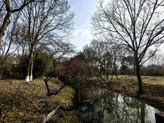 -西溪国家湿地公园