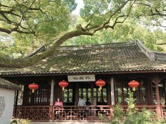 -上海醉白池公园