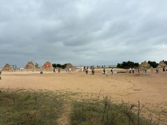 -日照海滨国家森林公园