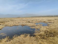 -野鸭湖国家湿地公园