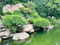 -江心屿景区