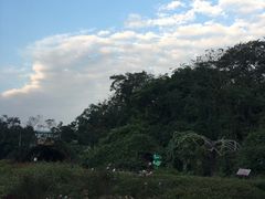 -广西壮族自治区药用植物园