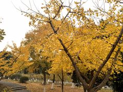-堤角公园